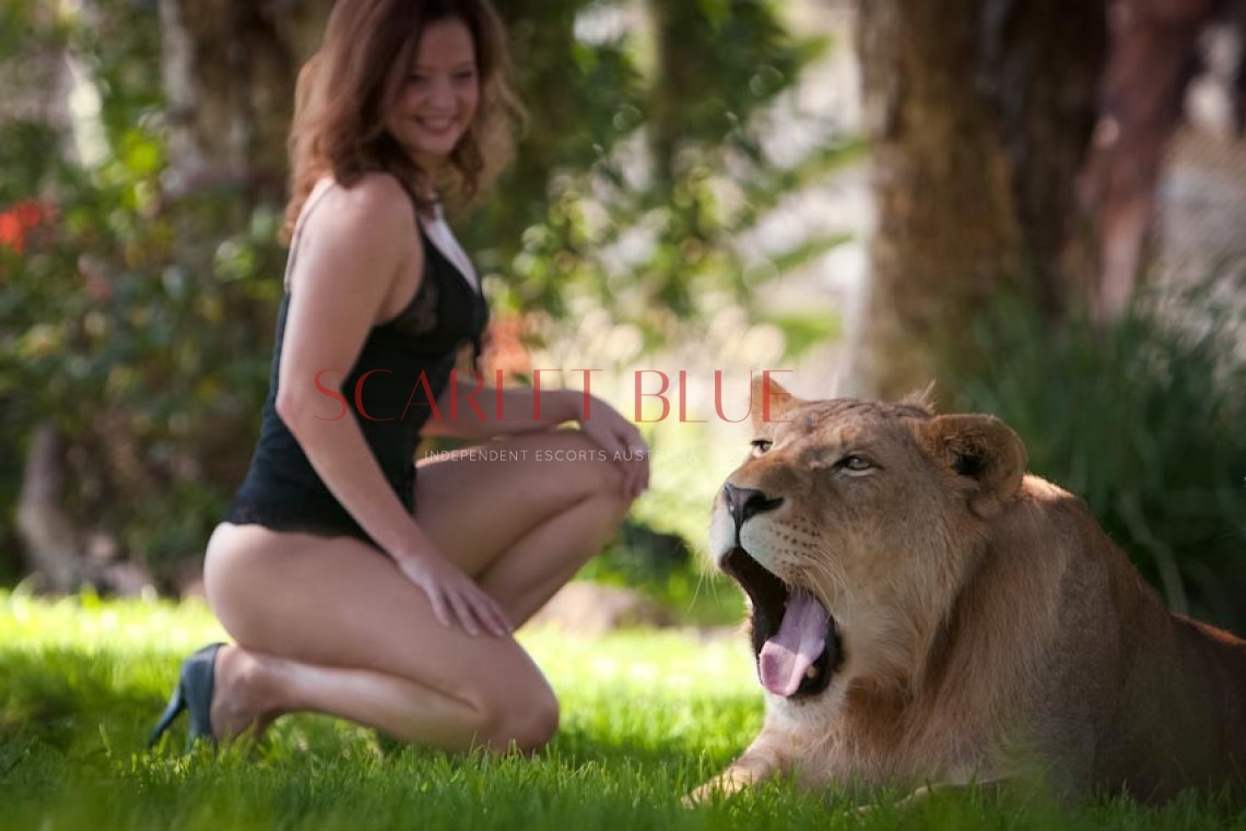 Clients favourite image for the review of Olivia - Sydney Escort