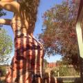 Clients favourite image for the review of Babygirl Kayla Xo - Sydney Escort