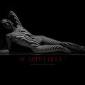 Clients favourite image for the review of Petite Nymphet - Canberra Escort