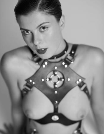 Private escort - Hunter Down touring to Sydney