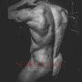 Clients favourite image for the review of Logan John Locke - Perth Escort