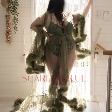 Image from Nikki Lovage - Private Escort Sydney