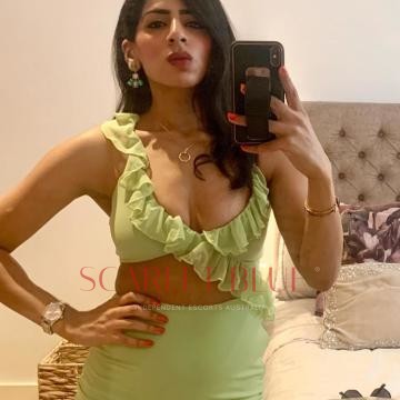 Selfie Pics from Indian Amira - Private Escort Touring