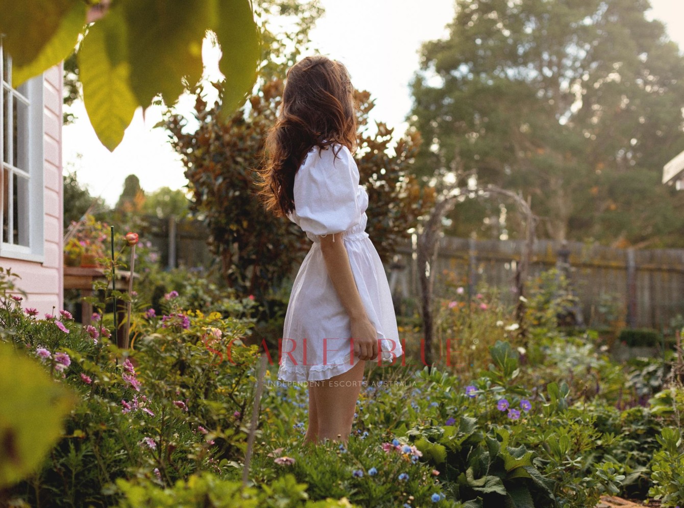 Clients favourite image for the review of Mila Miette - Brisbane Escort