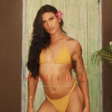 Selfie Pics from Well Hung Fit And Stunning Ts - Private Escort Sydney