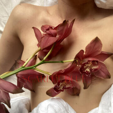 Selfie Pics from Maxx Amoor - Private Escort London