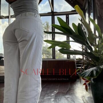 Selfie Pics from Chasing Morgan - Private Escort Touring