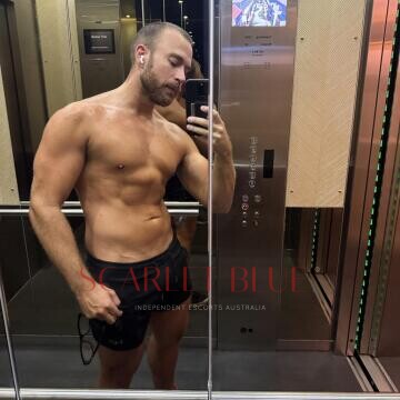Selfie Pics from Noah Lane - Private Escort Sydney