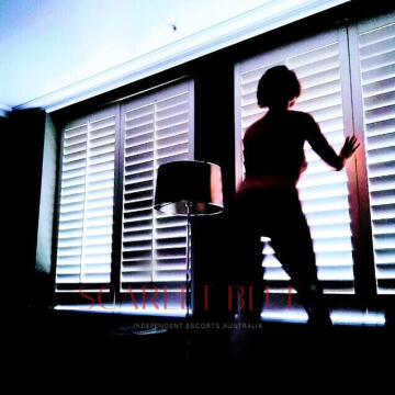 Selfie Pics from Freyah Forbes - Private Escort Sydney