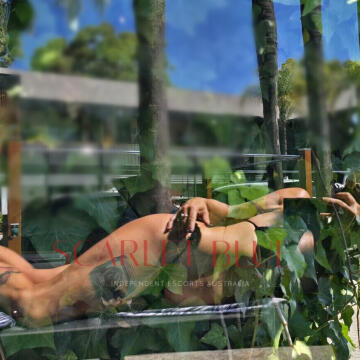 Selfie Pics from Shelby Rose - Private Escort Newcastle