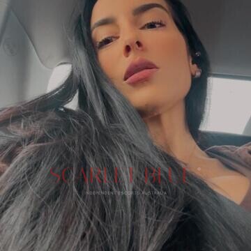 Selfie Pics from Agatha Fox - Private Escort Touring