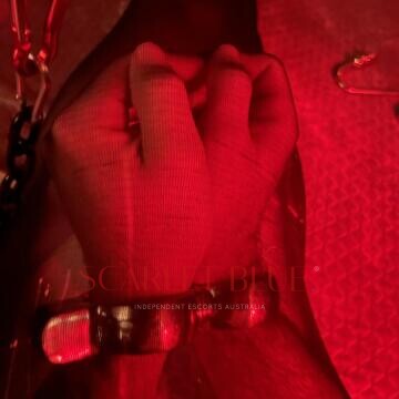 Image from Mistress Vale - Private Escort Touring