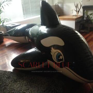 Image from Mistress Vale - Private Escort Touring