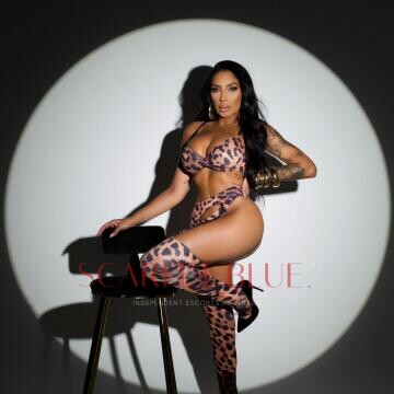 Image from Mary Carter - Private Escort Melbourne