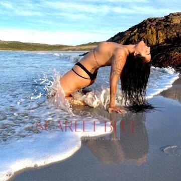 Image from Agatha Fox - Private Escort Touring