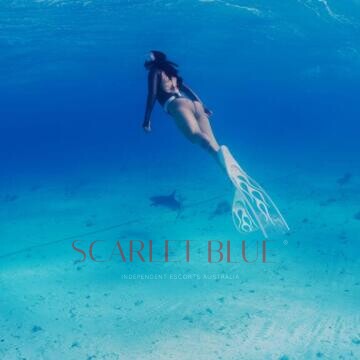 Image from Agatha Fox - Private Escort Touring