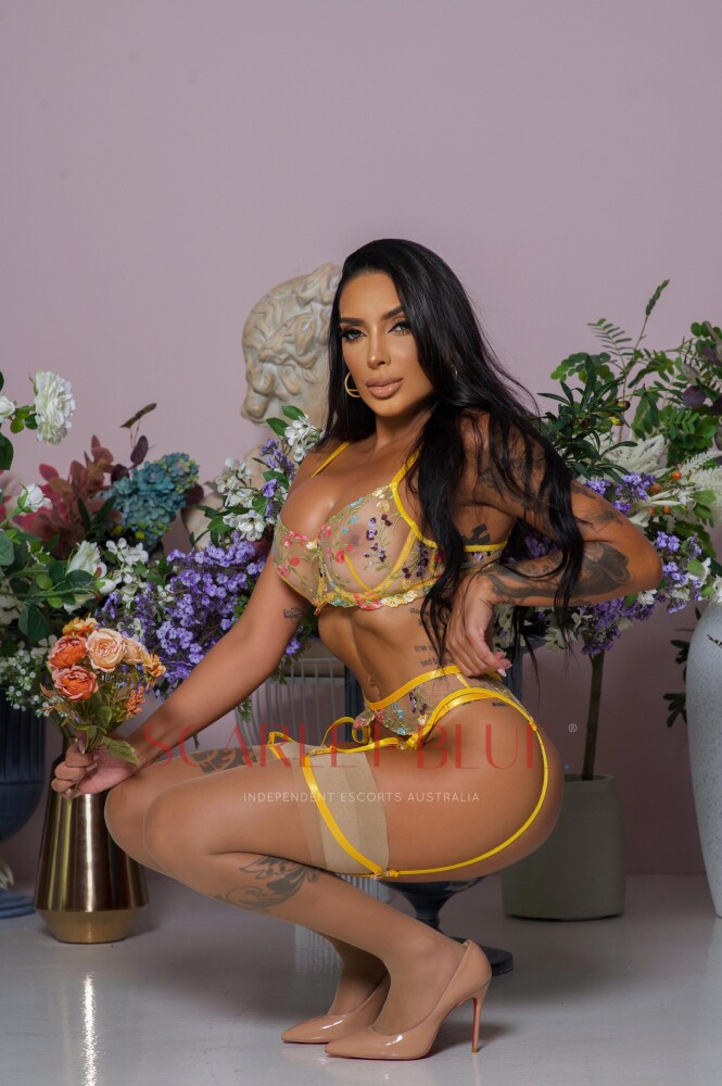 Clients favourite image for the review of Mary Carter - Melbourne Escort