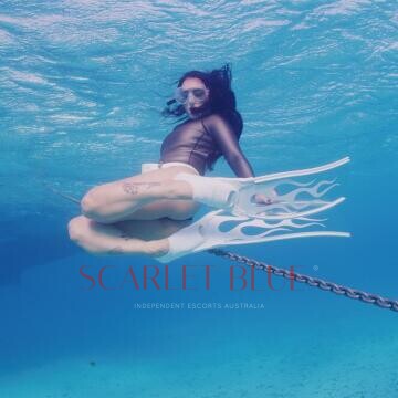 Image from Agatha Fox - Private Escort Touring