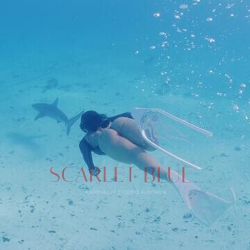 Image from Agatha Fox - Private Escort Touring