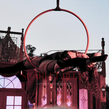 Selfie Pics from Zara Nyxie - Private Escort Sydney