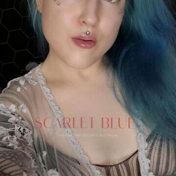 Selfie Pics from Dieve - Private Escort Touring