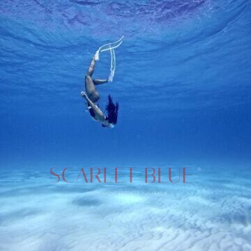 Image from Agatha Fox - Private Escort Touring