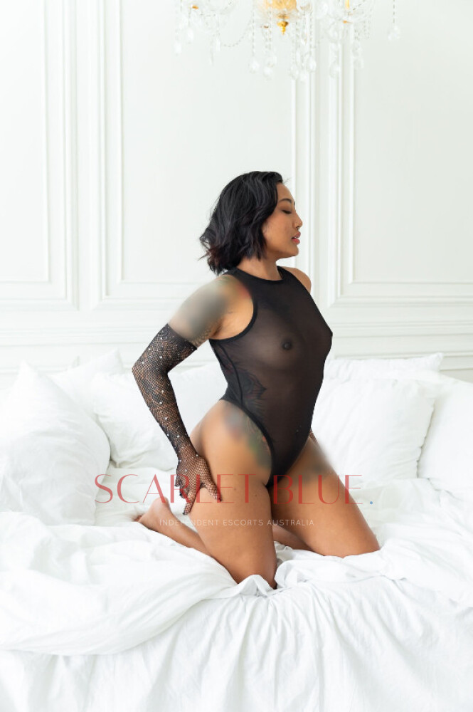 Clients favourite image for the review of Nikkita - Melbourne Escort