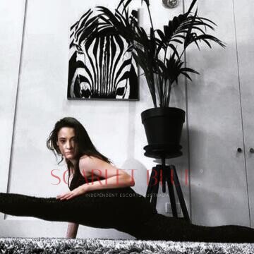 Selfie Pics from Eva Knoxx - Private Escort Canberra