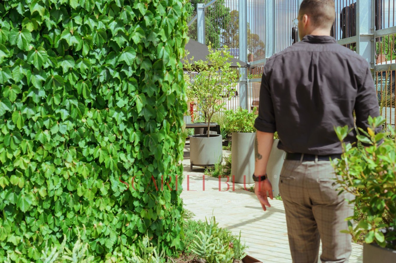 Clients favourite image for the review of Thomas Archer - Melbourne Escort