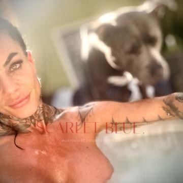 Selfie Pics from Lola Cruzova - Private Escort Melbourne