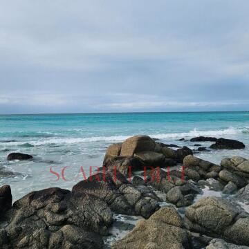 Image from Hunter Glee - Private Escort Hobart