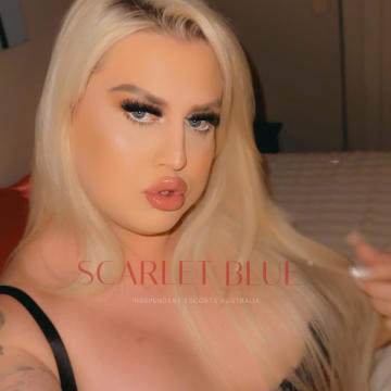 Selfie Pics from Ts Kendra Fox - Private Escort Sydney