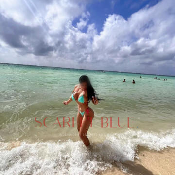 Image from Samantha Luxury - Private Escort Sydney