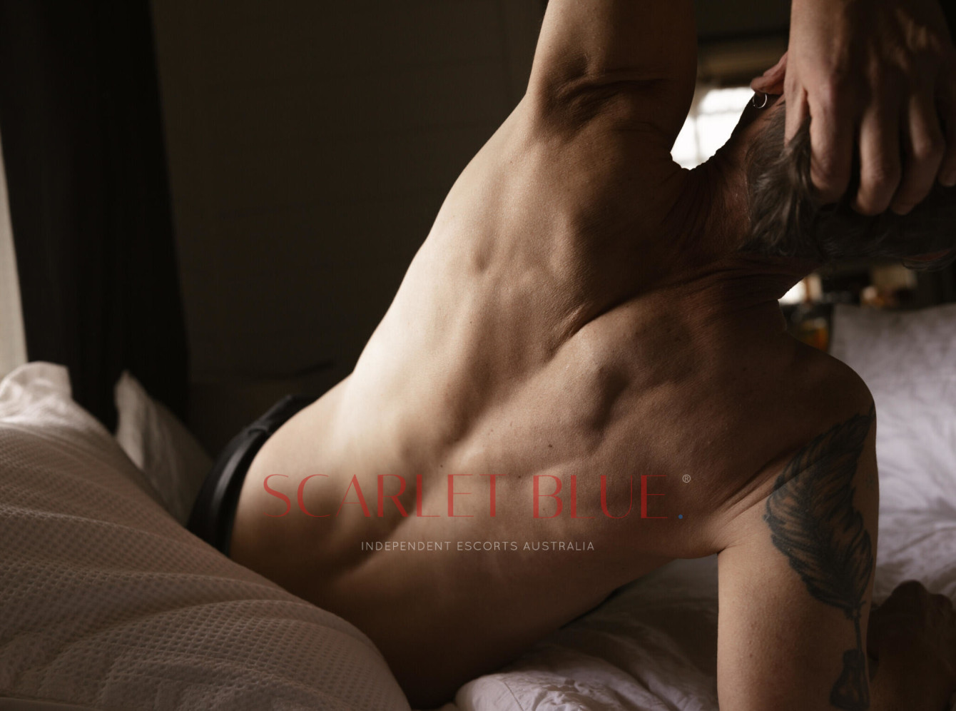 Clients favourite image for the review of Adam River - Sydney Escort