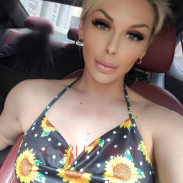 Selfie Pics from Kendal Harvey - Private Escort Touring