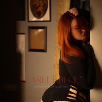 Melbourne Escort - Harper Valentine