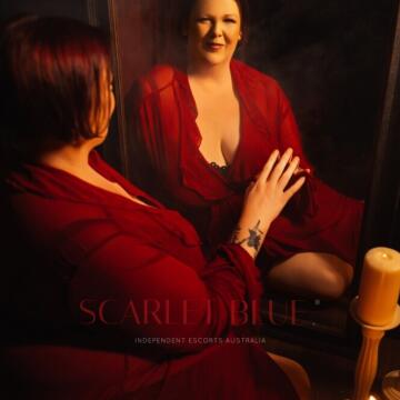 Brisbane Escort - Krissy Smith