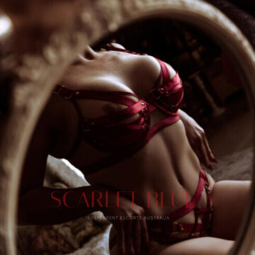 Melbourne Escort - Dr Melissa Park