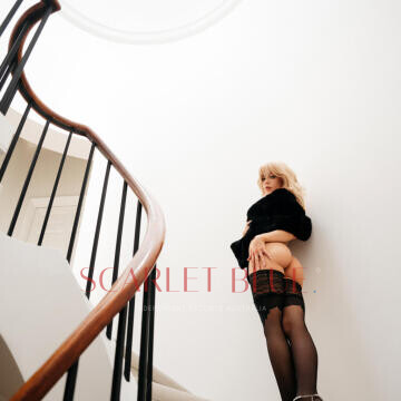 Image from Chloe Piper - Private Escort Sydney