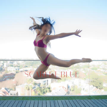 Perth Escort - Zenith Breitling