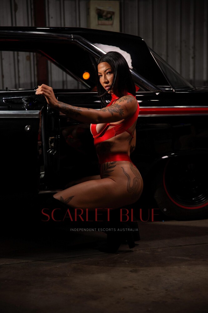 Clients favourite image for the review of Maddison Luxe - Sunshine Coast Escort