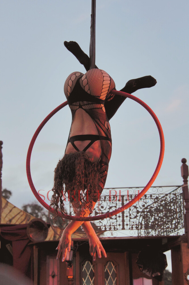Clients favourite image for the review of Zara Nyxie - Perth Escort