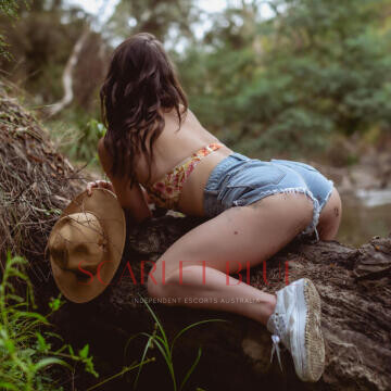 Image from Zahra Belle - Private Escort Melbourne