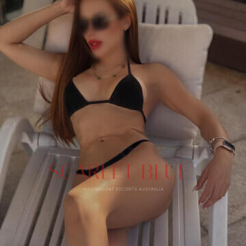 Image from Danny Bianchi - Private Escort Touring