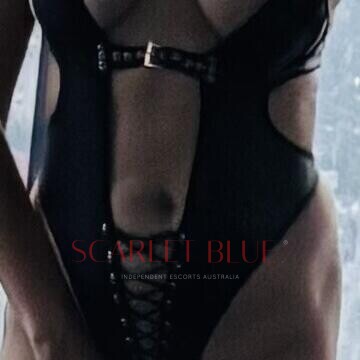 Selfie Pics from Alexis London - Private Escort Melbourne