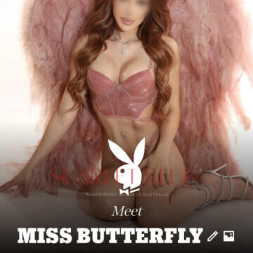 Image from Danny Bianchi - Private Escort Touring