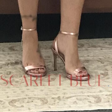 Selfie Pics from Violet Adar - Private Escort Brisbane