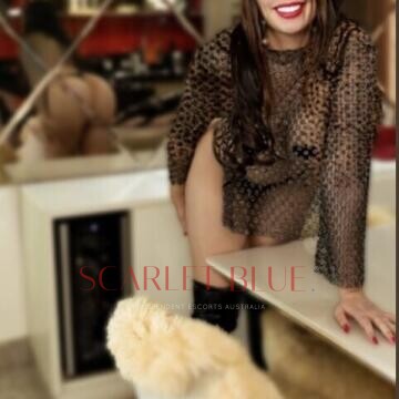 Image from Sophia Gold - Private Escort Touring