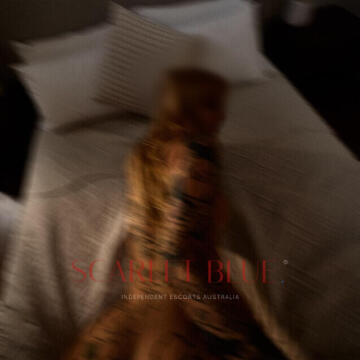 Selfie Pics from Pamela Voss - Private Escort Touring