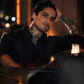 Clients favourite image for the review of Sebastian Tifossi - Sydney Escort